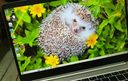 华为HUAWEI二手笔记本MateBook13/xpro触屏2K全面屏 便携二手笔记本电脑 Magic I5-8250 8G+256G 独显 95成新 实拍图