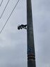 霸天安四镜头太阳能摄像头农村野外4g终身免流量室外看护远程监控器家用360度全彩高清夜视户外免插电 实拍图