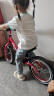 飞鸽（PIGEON）儿童平衡车滑步车幼儿学步车小孩滑行车单车14寸充气轮酒红色 实拍图