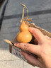 天然葫芦文玩带龙头手捻把玩小精品野生葫芦迷你家居客厅摆件 1个精品级【4-6厘米龙头葫芦】 实拍图