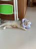 乐优派伊丽莎白圈耻辱圈猫狗绝育项圈宠物防咬防舔项圈 M 实拍图