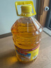 鲁花 食用油 物理压榨 葵花仁油6.18L  实拍图