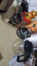 【京东物流】茶壶套装整套茶具大容量玻璃茶杯带滤网耐高温泡茶具 1000ML一壶+四杯套装 实拍图