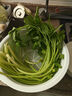 芹菜 约300g 实拍图