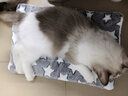 HELLOJOY狗垫子狗窝冬季保暖猫垫子宠物冬加厚猫窝睡觉用毛毯猫咪狗狗睡垫 实拍图
