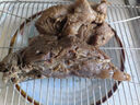 鲜京采甄选 原切带芯后腱 4斤 卤牛腱子肉 炖煮健身食材  京东自有品牌 实拍图