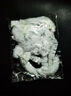 户外一次性保鲜膜套罩食品级家用保鲜袋专用带松紧口浴帽式 袋装-保鲜膜套30只 实拍图