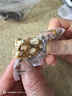 觅珍亚麻籽核桃酥芝麻坚果花生酥无加蔗糖食品糖尿病人专用食品1000g 实拍图