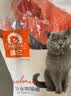 味它（e-weita）猫粮三文鱼味成猫幼猫全价主粮英短蓝猫美短增肥营养全面健康 四包共10kg 实拍图
