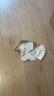大卫新款不锈钢魔术扫把家用浴室刮地板刮水硅胶卫生间两用升级版F12 实拍图