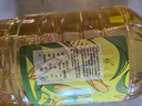 金龙鱼 食用油 非转基因 物理压榨玉米油6.18L（富含植物甾醇） 实拍图