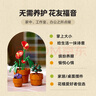 乐高（LEGO）积木拼装10329 迷你盆栽男孩女孩玩具生日礼物 实拍图