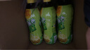 维他奶维他鸭屎香柠檬茶500ml*15瓶 实拍图