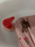 奥妙（OMO）内裤内衣洗衣液300g*3+100g 女士去血渍抑菌去异味 有效去除HPV  实拍图