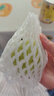 探味君 广西红心芭乐番石榴 新鲜水果生鲜健康轻食带箱 软糯白心芭乐5斤 实拍图