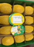 佳沛（zespri）新西兰 金果12粒猕猴桃礼盒特大果单果约124-146g 母亲节水果礼盒 实拍图