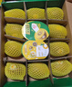 佳沛（zespri）新西兰 阳光金奇异果12粒礼盒特大果单果约122-146g 猕猴桃 水果 实拍图