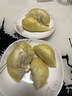 晨木鲜生（chenmuxiansheng）泰国进口金枕头榴莲鲜果 榴莲新鲜生鲜水果 软糯香甜 净重2-3斤 实拍图