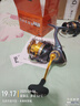 达亿瓦（DAIWA）24新款 REGAL CS 进口轻量纺车轮远投路亚轮 10轴小型通用钓鱼轮 LT 4000D-CXH（深杯+高高速比） 实拍图