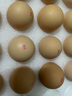 京觅低醇无抗鲜鸡蛋30枚/盒 3斤 轻食 胆固醇含量降低约70% 源头直发 实拍图