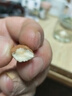 三只松鼠手剥巴旦木500g/袋装 坚果炒货干果扁核桃杏仁零食送礼  实拍图