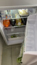 长城（GREAT WALL FRIDGE）家用迷你小冰箱小型冷冻冷藏保鲜宿舍出租房办公室节能省电双开门电冰箱 银色119L【一级能效 全国联保】 实拍图