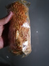 嘉士利饼干零食营养早餐饼干咸薄脆饼干1000g/盒团购送礼代餐饼干食品 实拍图