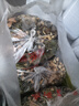 志高（CHIGO） 中药粉碎机磨粉机家用打粉机超细研磨机破碎机磨面机药材小型三七电动五谷杂粮干磨机器 容量2500g-高配款丨纯铜电机丨304不锈钢 实拍图