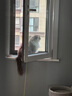 INSTINCT百利猫罐头高蛋白鸡无谷鸡补充营养猫咪幼猫猫粮成猫罐头 高蛋白鸡肉罐头 156g 6罐 实拍图