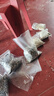 达派（dapai）德国抽真空封口机食品包装家用商用双泵电打包机保鲜塑封机全自动保鲜机干湿两用智能显示紫光杀菌 DS2803升级双泵(下单享真空袋子) 实拍图