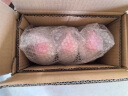 威露士洗手液健康抑菌525mlx3瓶 家庭儿童消毒杀菌泡沫丰富洗护倍护滋润 实拍图