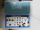 TaTanice天然水晶摆件36种矿物原石宝石玛瑙科普教学标本儿童玩具生日礼物 实拍图