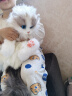 Chongker宠客mini布偶猫背包仿真玩偶公仔毛绒玩具六一儿童节女孩生日礼物 实拍图