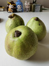鲜级佳山东莱阳慈梨茌梨 正宗贡梨新鲜当季水果 生鲜礼盒 特产 4.5斤中果 80-90mm 6-8个 实拍图
