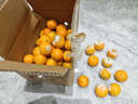 酸甜云南新鲜青橘孕妇青皮当季无籽橘子桔子薄皮水果多汁一整箱 带箱8斤55-60mm 实拍图