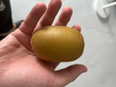 佳沛（zespri）新西兰  阳光金奇异果6粒装 单果约77-103g  源头直发  猕猴桃 实拍图