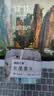 天章 （TANGO）燕尾夹长尾夹24只莫兰迪色夹子中号3#32mm 票据夹彩色财务单据夹装订收纳办公室文具用品 实拍图