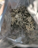 神农金康 辣木籽250g 正宗新鲜精选超大颗粒饱满大果 泡水即食 养生茶  实拍图