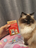 USPET乳铁蛋白片200片猫咪狗狗提升免疫力少生病高浓度乳铁蛋白幼犬猫 实拍图