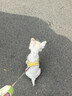 嬉皮狗摇摇乐狗狗牵引绳背心式小型犬宠物胸背狗链 L码 建议8-16斤 实拍图