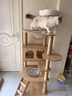 珑小宠猫爬架猫窝加粗大型猫树一体太空舱猫架子小户型不占地麻绳猫玩具 145cm 5层 【多窝款加厚板】 实拍图