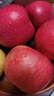 青怡陕西特产洛川红富士时令苹果新鲜水果礼盒 源头产地包邮直发 9斤【中大果】160g+ 实拍图