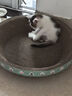疯狂的主人 猫抓板窝特大号猫玩具猫爪板猫抓盆不掉屑猫窝碗形圆形瓦楞纸 实拍图