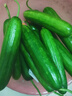 京喜加新鲜无刺水果小黄瓜小青瓜脆甜荷兰脆嫩生吃黄瓜蔬菜 水果黄瓜 3斤 带箱 实拍图
