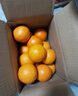 【热销】湖北秭归脐橙鲜果上市 带箱9斤60-65mm 实拍图