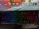 ROG 游侠2 RX PBT版 机械键盘 有线游戏键盘 RX红轴 RGB背光 防水防尘键盘104键 黑色  实拍图