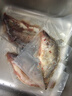 仙泉湖三去桂花鱼400g/条净膛冷冻鳜鱼无细刺海鲜水产食材 实拍图