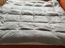南极人羊羔绒床垫床褥子秋冬季加绒加厚保暖学生宿舍90x190单人垫被软垫 加厚羊羔绒床垫-灰色 90x200cm【加绒加厚】 实拍图