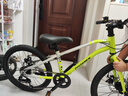 凤凰儿童自行车6到12岁8-10-15岁男女孩单车小学生变速山地车新款 【森林绿】7级变速双碟刹 20寸【建议身高110-130cm】 实拍图