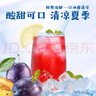 鲜丰春酸梅汤原料包粉果汁粉酸梅汤粉酸梅晶言汤固体冲调饮料冲剂品500g 实拍图